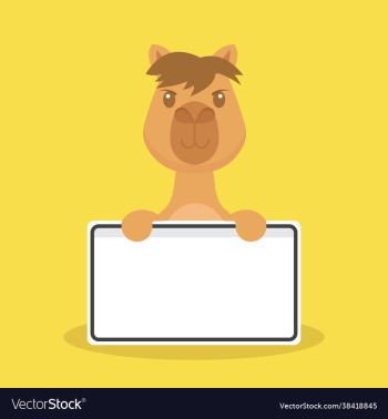 cute camel holding blank text board cute camel holding blank text board
