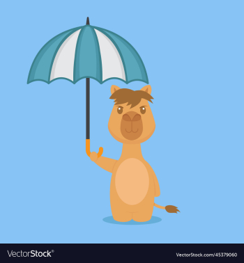 cute camel holding umbrella cute camel holding umbrella
