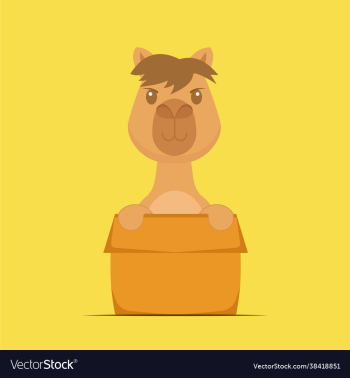 cute camel playing box cartoon cute camel playing box cartoon