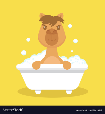 cute camel take bath cartoon character cute camel take bath cartoon character