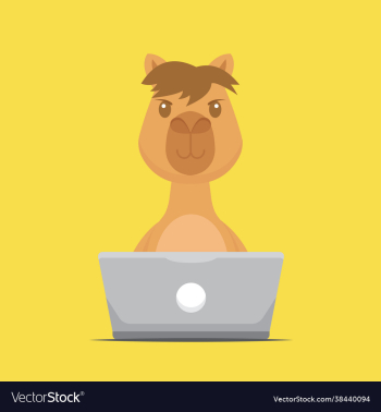 cute camel working with laptop cute camel working with laptop