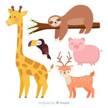 Cute cartoon animals collection Free Vector Cute cartoon animals collection Free Vector
