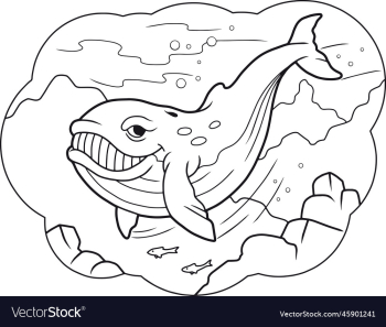 cute cartoon whale cute cartoon whale