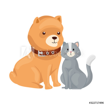 cute cat and dog animals design cute cat and dog animals design