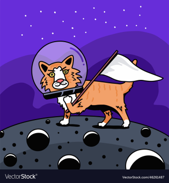 cute cat astronaut cute cat astronaut