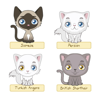 Cute cat collection Cute cat collection