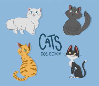 Cute cats collection Free Vector Cute cats collection Free Vector