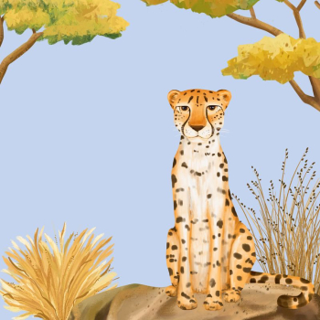 Cute cheetah background, blue design | Free Photo Illustration - rawpixel Cute cheetah background, blue design | Free Photo Illustration - rawpixel