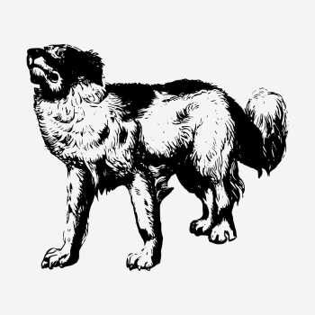 Cute dog hand drawn illustration. | Free Photo - rawpixel