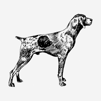 Cute dog hand drawn illustration. | Free Photo - rawpixel