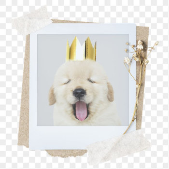 Cute dog png sticker instant | Free PNG - rawpixel