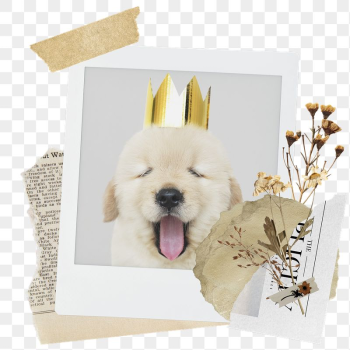 Cute dog png sticker instant | Free PNG - rawpixel