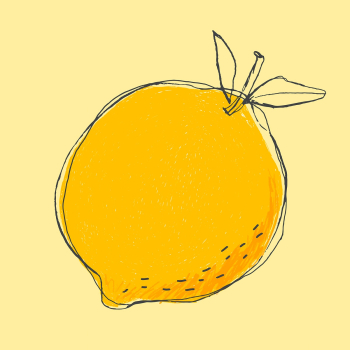 Cute doodle art lemon vector fruit Cute doodle art lemon vector fruit