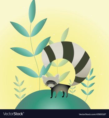 cute fat cartoon gray raccoon sits and looks cute fat cartoon gray raccoon sits and looks