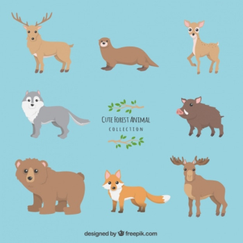 Cute forest animal collection Cute forest animal collection