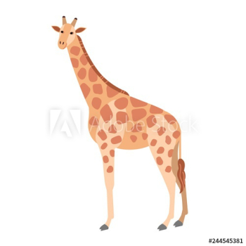 Cute giraffe isolated on white background Cute giraffe isolated on white background