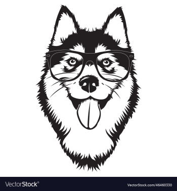 cute husky with glasses cute husky with glasses