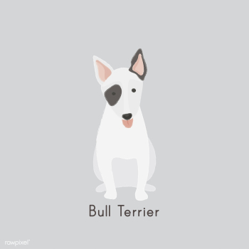 Cute illustration of a bull terrier dog | Free stock vector - 60459 Cute illustration of a bull terrier dog | Free stock vector - 60459