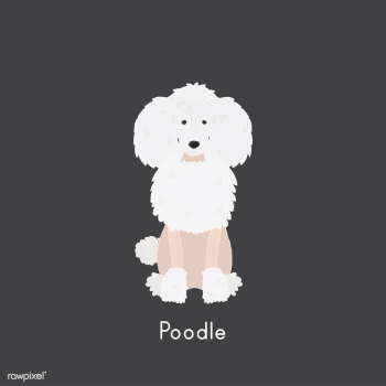 Cute illustration of a poodle dog | Free stock vector - 60461 Cute illustration of a poodle dog | Free stock vector - 60461