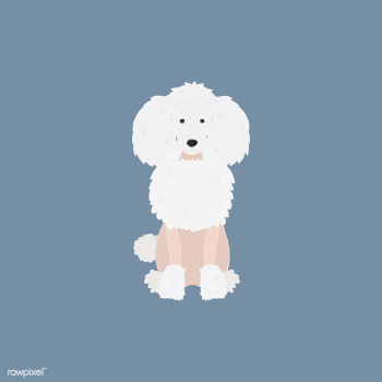 Cute illustration of a poodle dog | Free stock vector - 60595 Cute illustration of a poodle dog | Free stock vector - 60595
