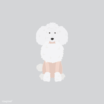 Cute illustration of a poodle dog | Free stock vector - 60599 Cute illustration of a poodle dog | Free stock vector - 60599