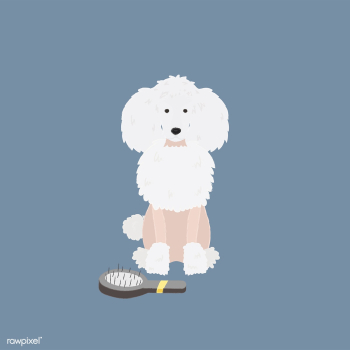Cute illustration of a poodle dog | Free stock vector - 60653 Cute illustration of a poodle dog | Free stock vector - 60653