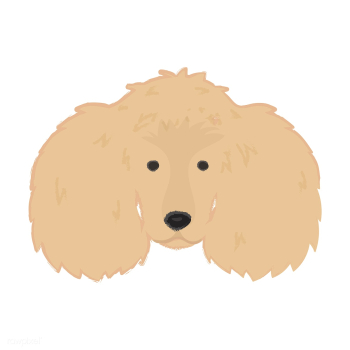 Cute illustration of a poodle dog | Free stock vector - 60726 Cute illustration of a poodle dog | Free stock vector - 60726