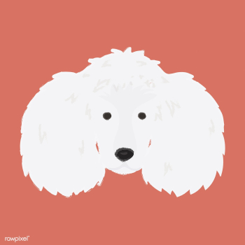 Cute illustration of a poodle dog | Free stock vector - 60742 Cute illustration of a poodle dog | Free stock vector - 60742