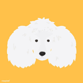 Cute illustration of a poodle dog | Free stock vector - 60743 Cute illustration of a poodle dog | Free stock vector - 60743