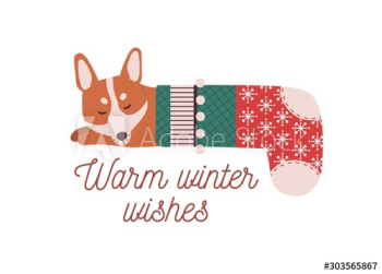 Cute little dog sleeping in Christmas stocking Cute little dog sleeping in Christmas stocking