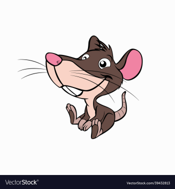 cute little mouse animal cute little mouse animal