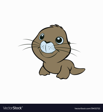 cute little seal animal cute little seal animal