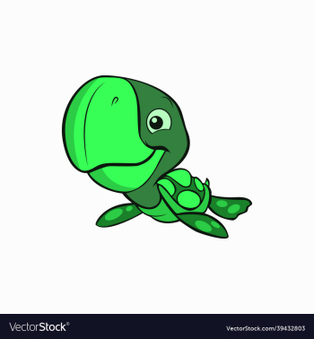 cute little turtle animal cute little turtle animal