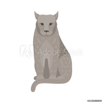 Cute lynx wild mammal animal Cute lynx wild mammal animal
