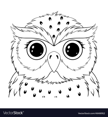 cute owl cute owl