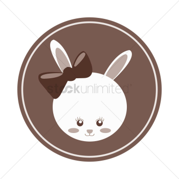 Cute rabbit Cute rabbit