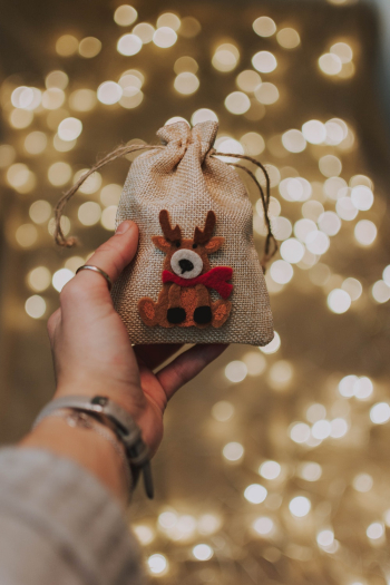 Cute Reindeer Pouch Cute Reindeer Pouch