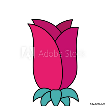 cute rose flower natural design cute rose flower natural design