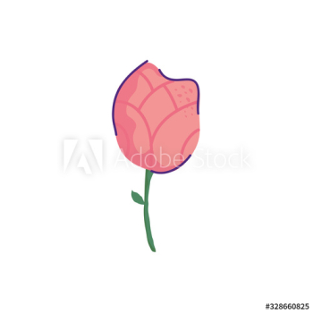 cute rose flower nature design cute rose flower nature design
