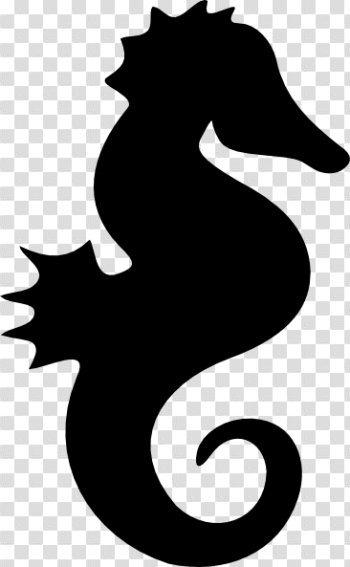 Cute Seahorse Cute Seahorse