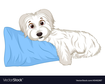 cute sleeping dog cute sleeping dog