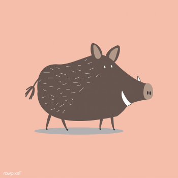 Cute wild boar cartoon illustration | Free stock vector - 477062 Cute wild boar cartoon illustration | Free stock vector - 477062