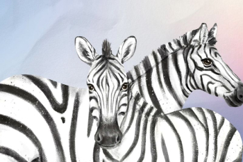 Cute zebra background, paper texture | Free Photo Illustration - rawpixel Cute zebra background, paper texture | Free Photo Illustration - rawpixel