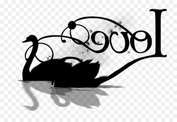 Cygnini Bird Goose Vertebrate Penguin - Cygnini Bird Goose Vertebrate Penguin -