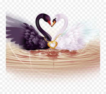 Cygnini Diamond Painting Cross-stitch Mosaic - swan Cygnini Diamond Painting Cross-stitch Mosaic - swan
