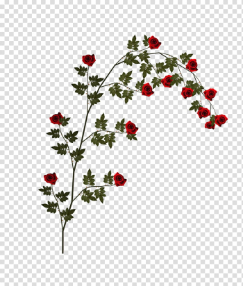 D Climbing Roses, red flowers illustration transparent background PNG clipart