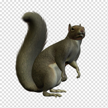 D Squirrels, squirrel D animation transparent background PNG clipart D Squirrels, squirrel D animation transparent background PNG clipart
