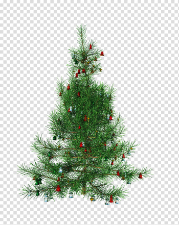 D Xmas Trees, green Christmas tree transparent background PNG clipart