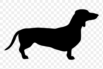 Dachshund dog png sticker animal | Free PNG - rawpixel Dachshund dog png sticker animal | Free PNG - rawpixel