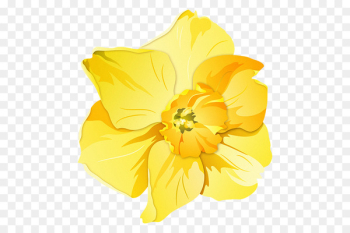 Daffodil Pin Badges T-shirt Zazzle Clothing Accessories - yellow sale 